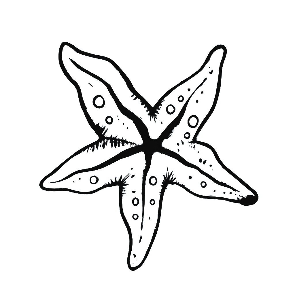 Logo Aquatica color negro